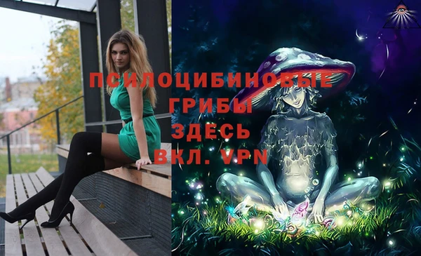 ГАЛЛЮЦИНОГЕННЫЕ ГРИБЫ Абинск