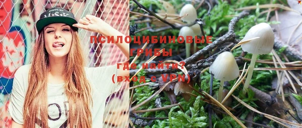 ГАЛЛЮЦИНОГЕННЫЕ ГРИБЫ Абинск