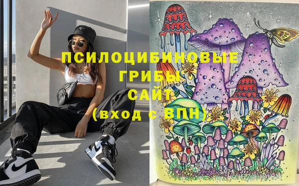 ГАЛЛЮЦИНОГЕННЫЕ ГРИБЫ Абинск