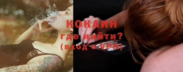 прущие грибы Осинники