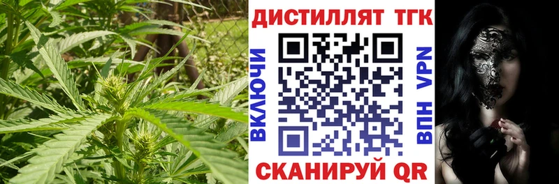 ТГК концентрат  Барыш 