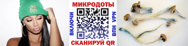 Псилоцибиновые грибы Psilocybine cubensis  Барыш 